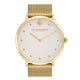 Metallic White & Gold