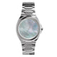 Light Grey & Silver