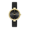 Gold & Black